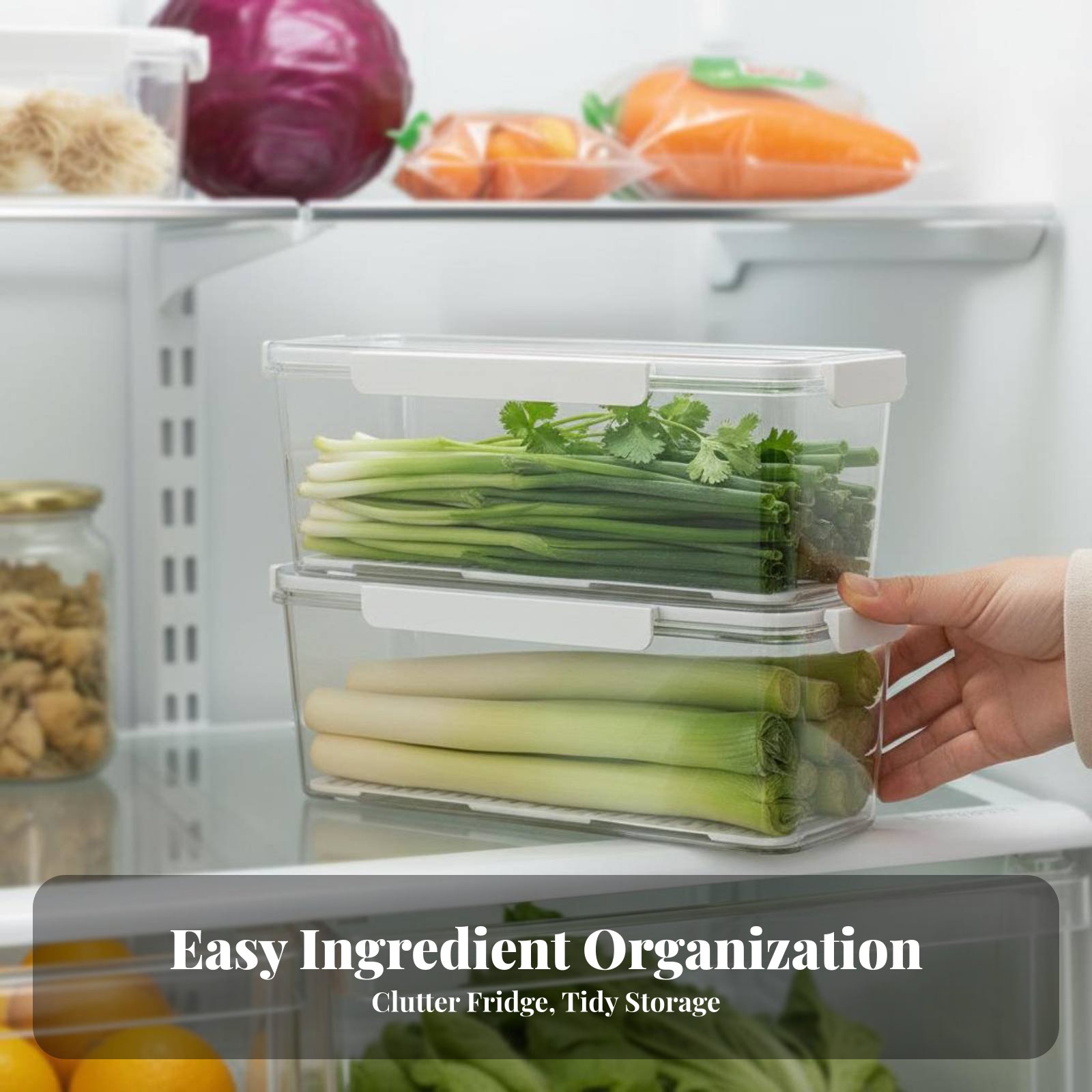 Herb preserver Keeps Food cris - Home Cooking Food のレビューと価格